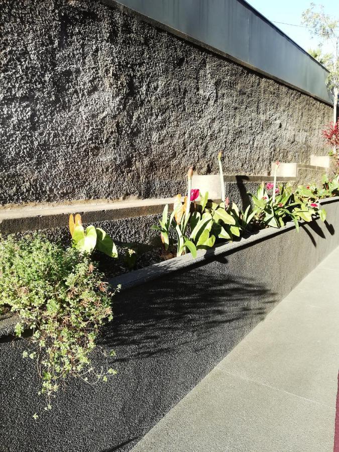 Fx Carvalhal Hotel Funchal  Exterior foto
